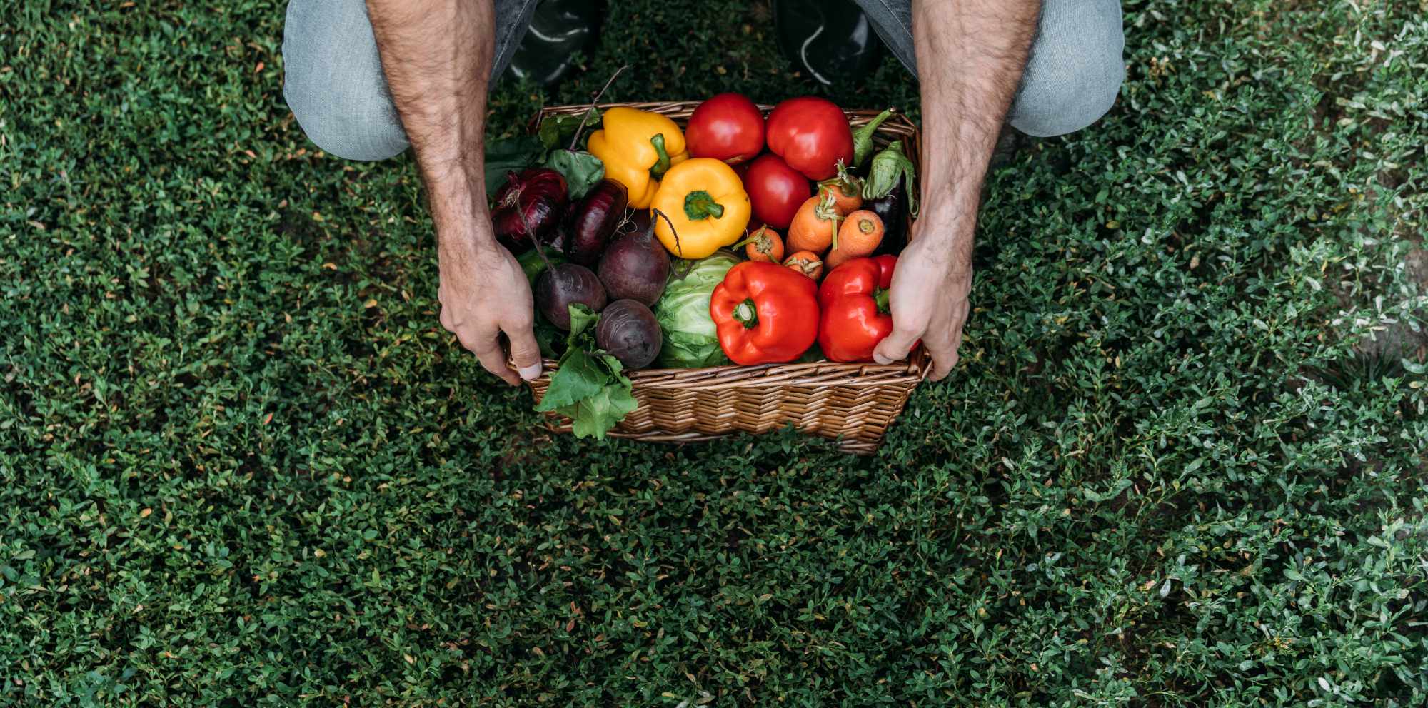 cropped-shot-of-farmer-holding-basket-with-fresh-o-4947RQG.jpg