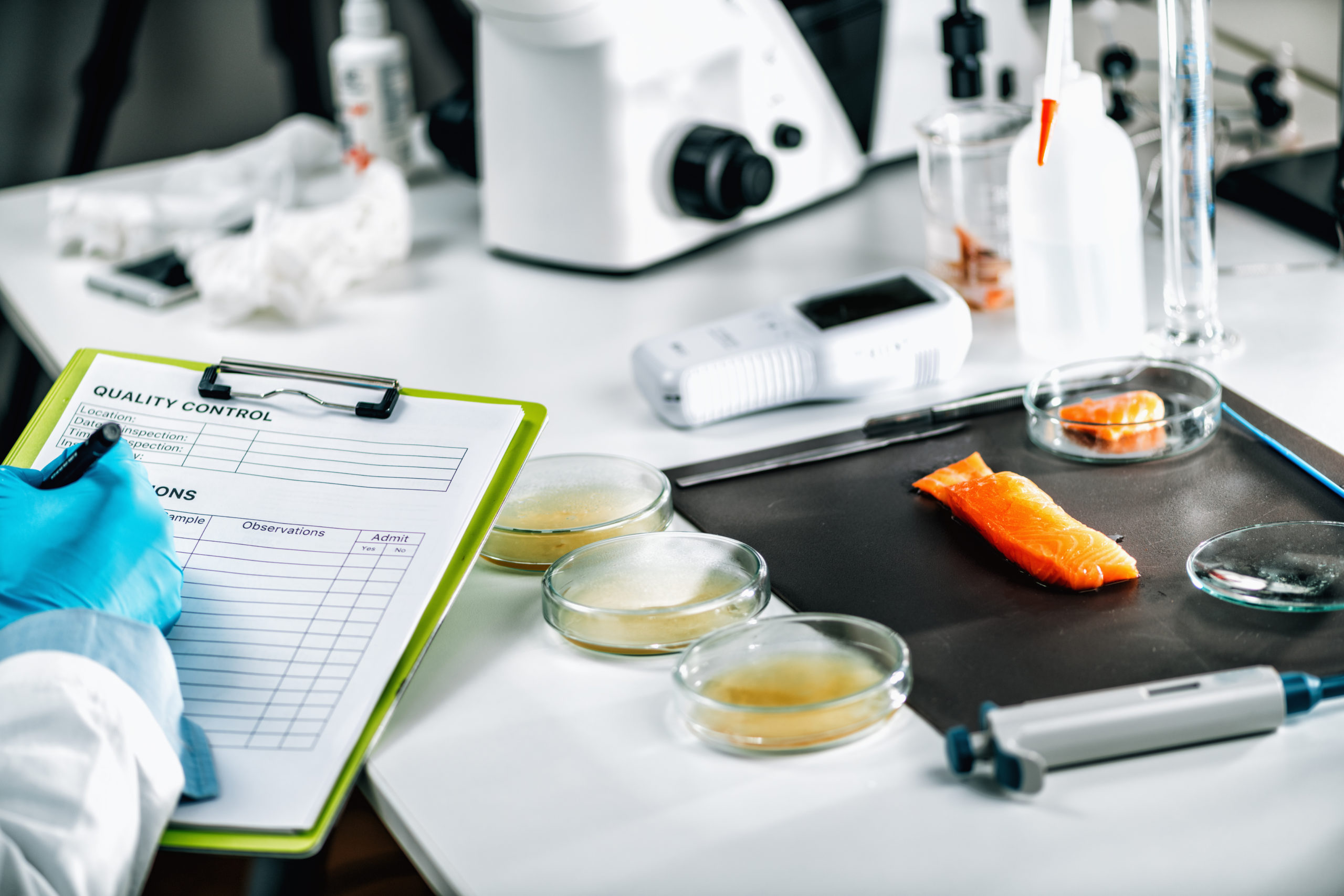 Food safety and quality management. Food safety and quality inspector filling out quality control form in a laboratory, salmon in background